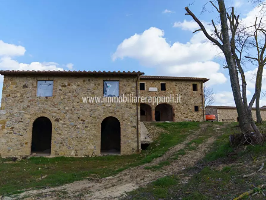 Immagine 8 di Villa in vendita  a Rapolano Terme