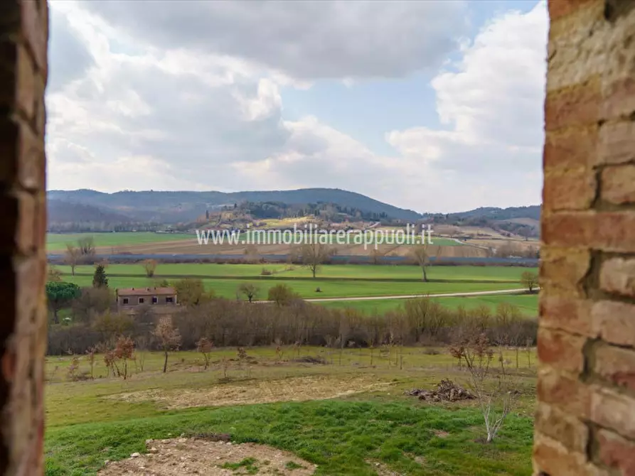 Immagine 17 di Villa in vendita  a Rapolano Terme