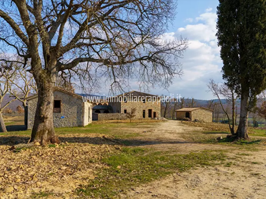 Immagine 26 di Villa in vendita  a Rapolano Terme