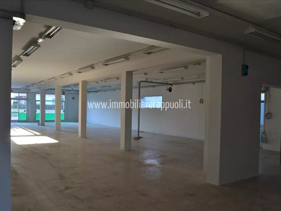 Immagine 2 di Attività commerciale in affitto  a Torrita Di Siena