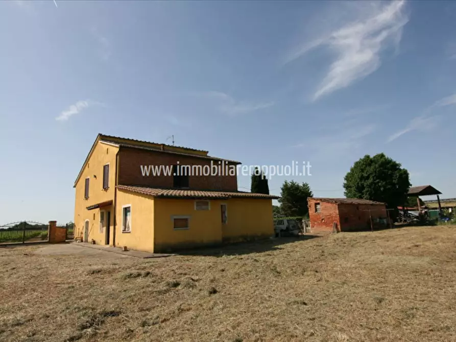 Immagine 4 di Casa indipendente in vendita  a Montepulciano