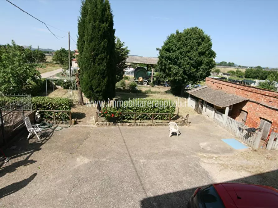 Immagine 17 di Casa indipendente in vendita  a Montepulciano