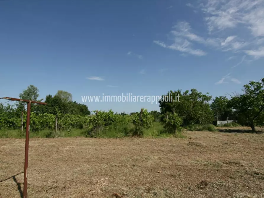 Immagine 18 di Casa indipendente in vendita  a Montepulciano
