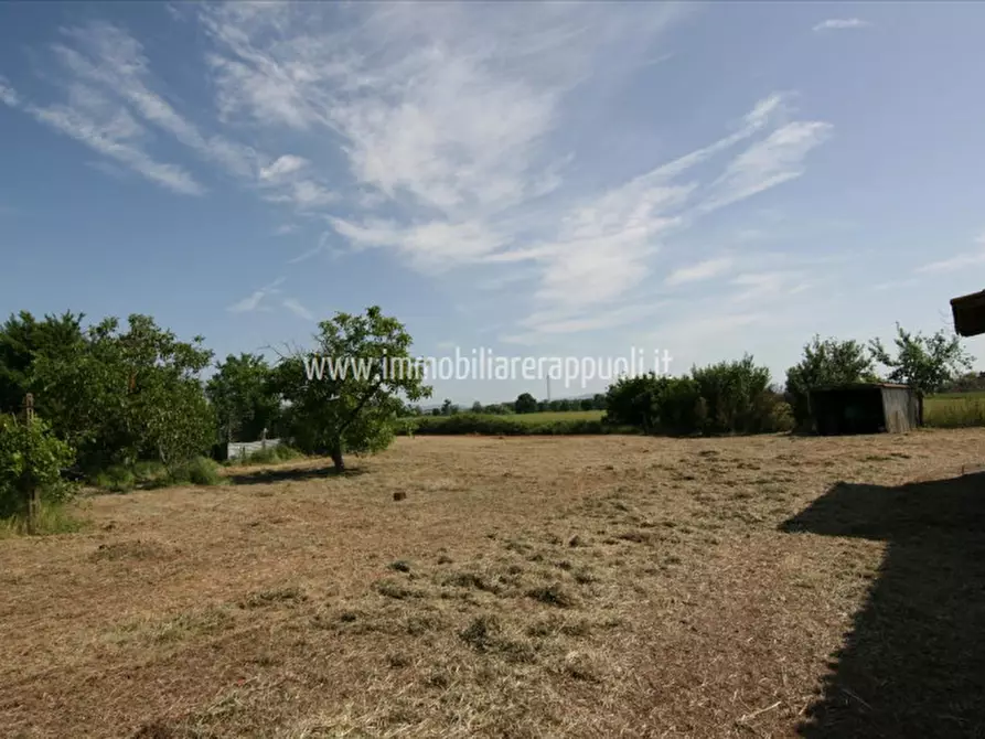 Immagine 19 di Casa indipendente in vendita  a Montepulciano