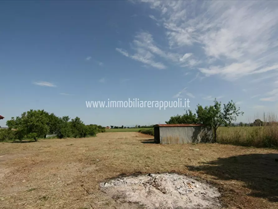 Immagine 20 di Casa indipendente in vendita  a Montepulciano