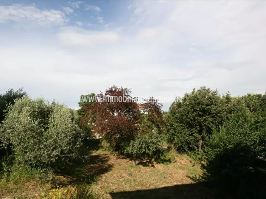 Immagine 7 di Appartamento in vendita  a Sinalunga