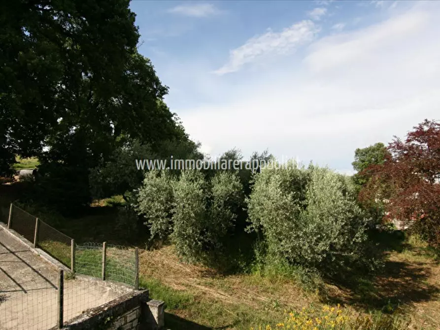 Immagine 8 di Appartamento in vendita  a Sinalunga