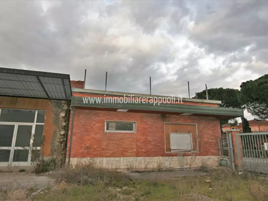 Immagine 1 di Capannone industriale in vendita  a Torrita Di Siena