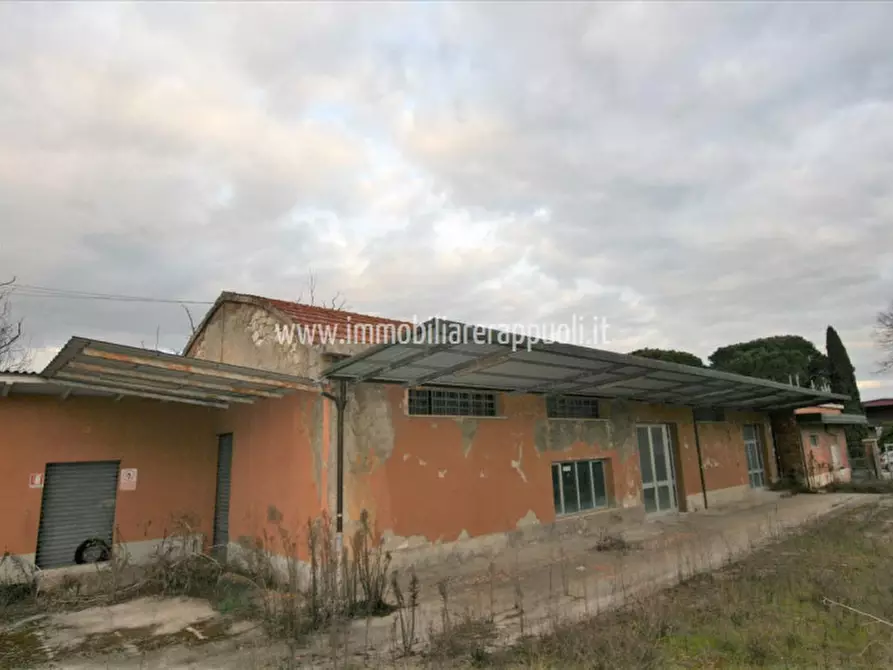 Immagine 2 di Capannone industriale in vendita  a Torrita Di Siena