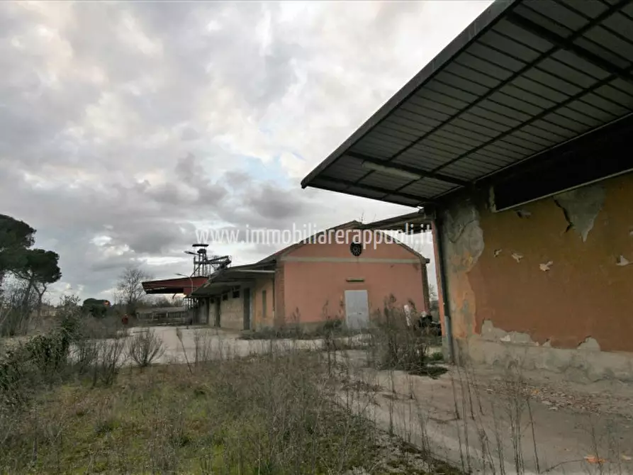 Immagine 3 di Capannone industriale in vendita  a Torrita Di Siena