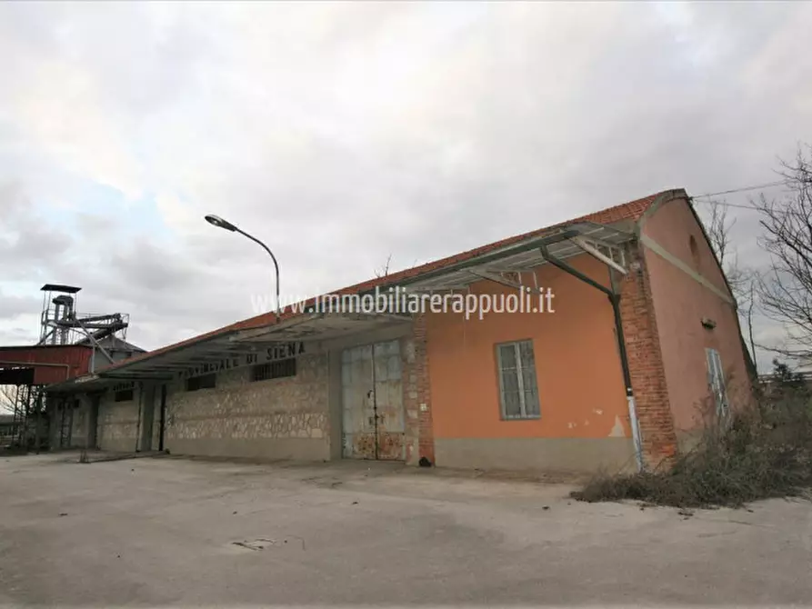 Immagine 4 di Capannone industriale in vendita  a Torrita Di Siena