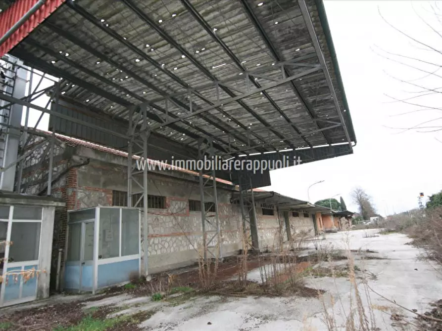 Immagine 5 di Capannone industriale in vendita  a Torrita Di Siena