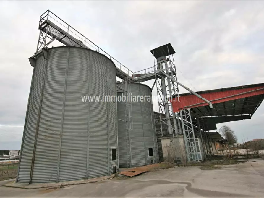 Immagine 6 di Capannone industriale in vendita  a Torrita Di Siena