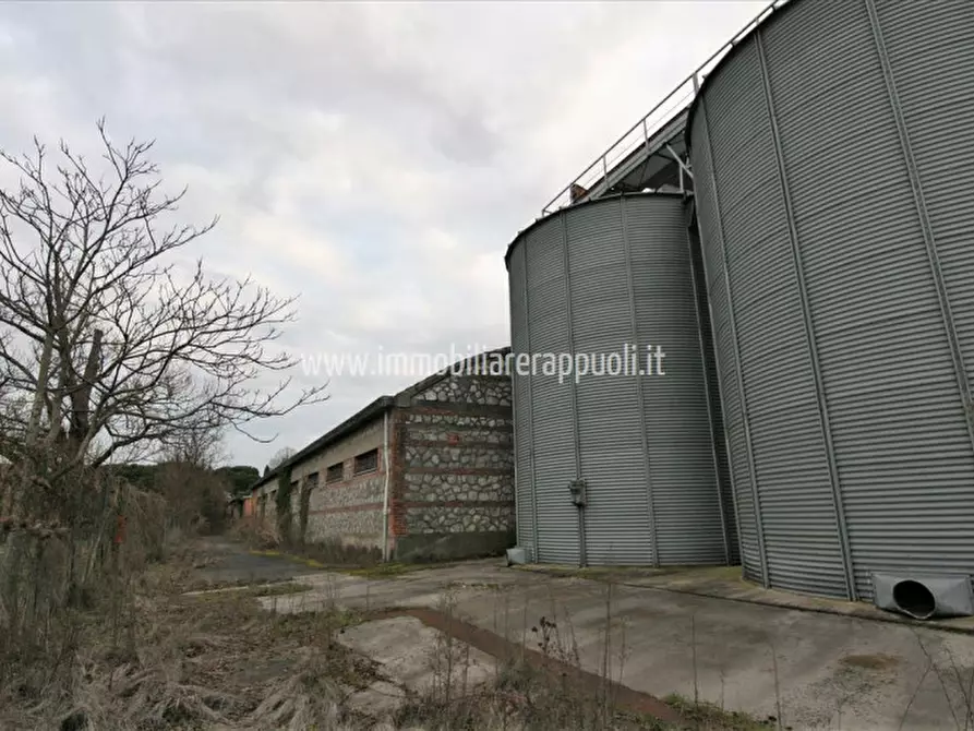 Immagine 7 di Capannone industriale in vendita  a Torrita Di Siena