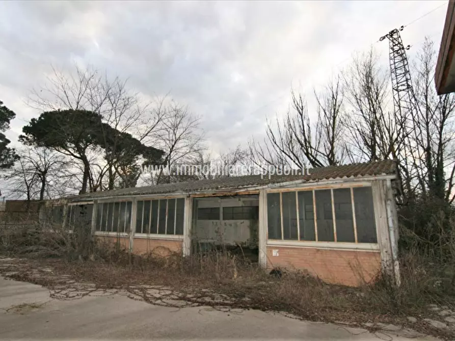 Immagine 8 di Capannone industriale in vendita  a Torrita Di Siena