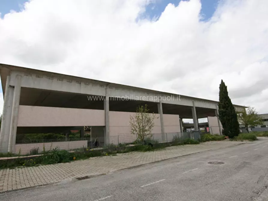 Immagine 1 di Capannone industriale in vendita  a Sinalunga