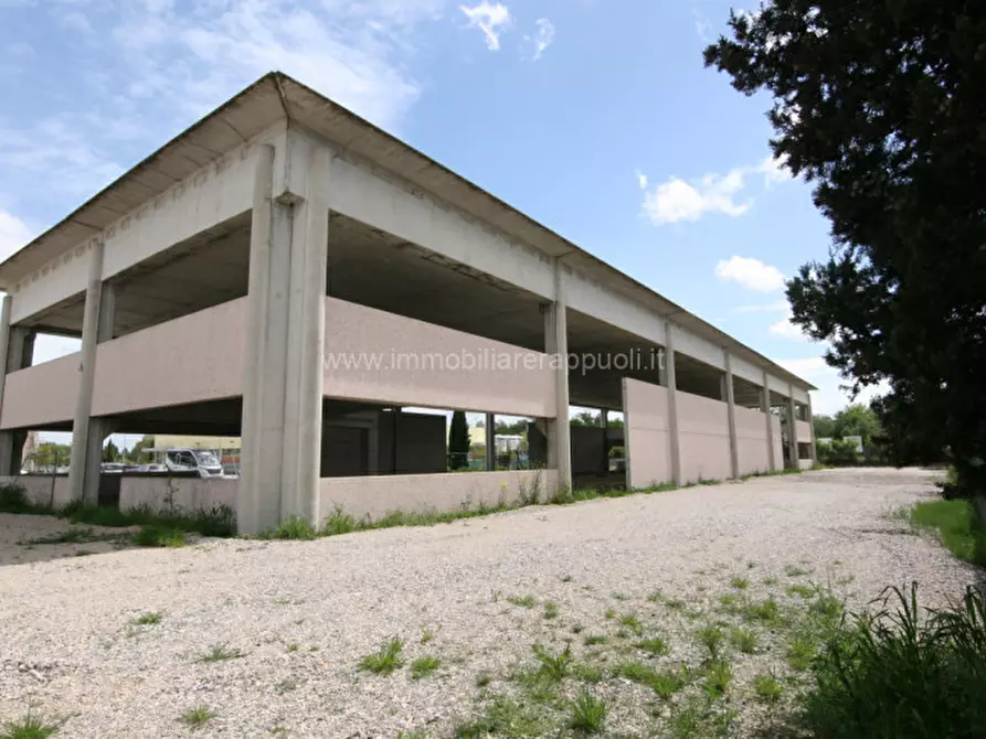 Immagine 4 di Capannone industriale in vendita  a Sinalunga