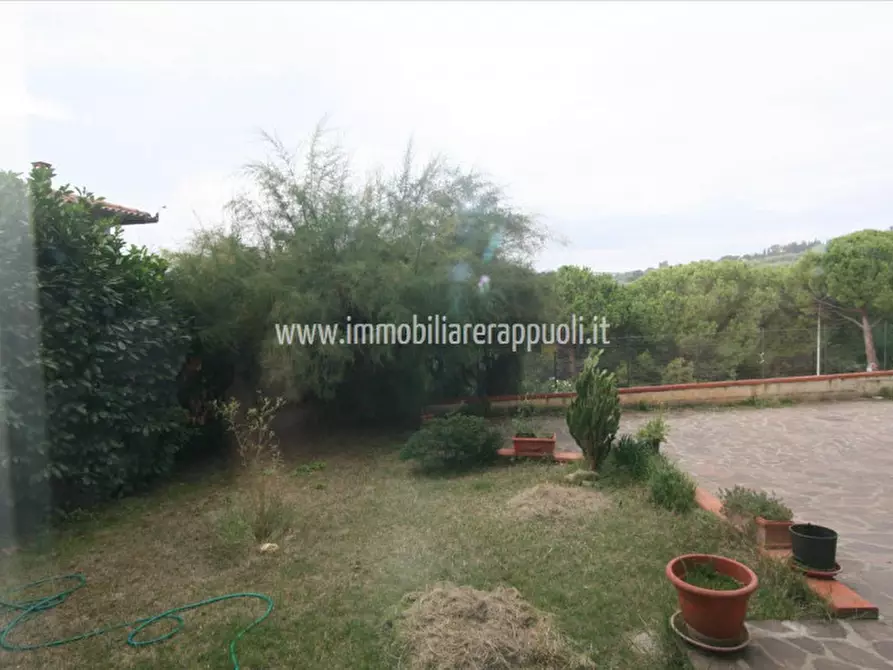 Immagine 6 di Appartamento in vendita  a Sinalunga