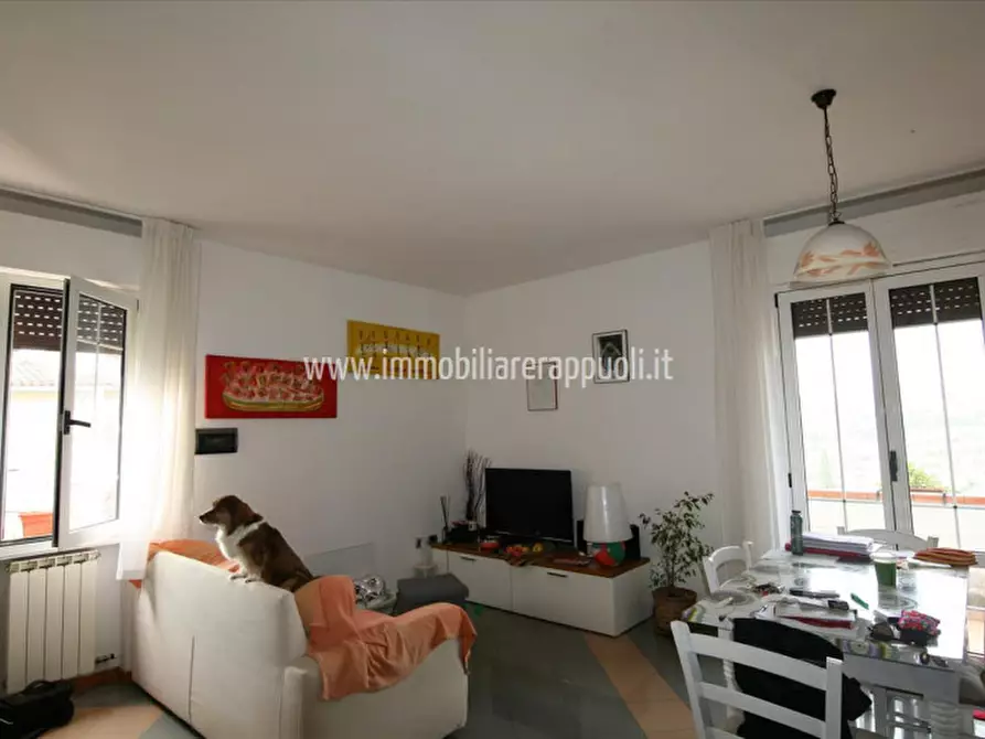 Immagine 4 di Appartamento in vendita  a Sinalunga