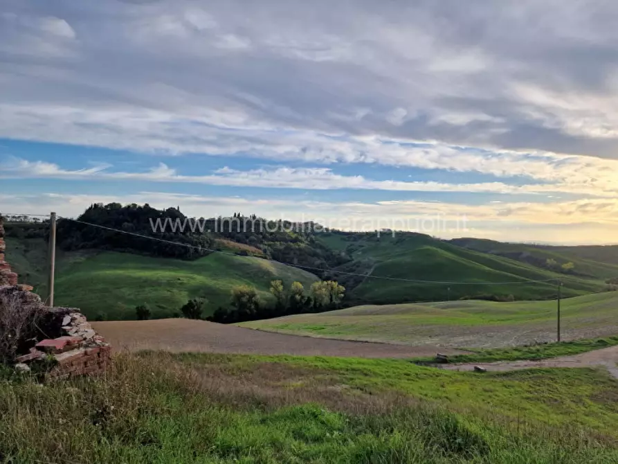Immagine 2 di Rustico / casale in vendita  a Asciano