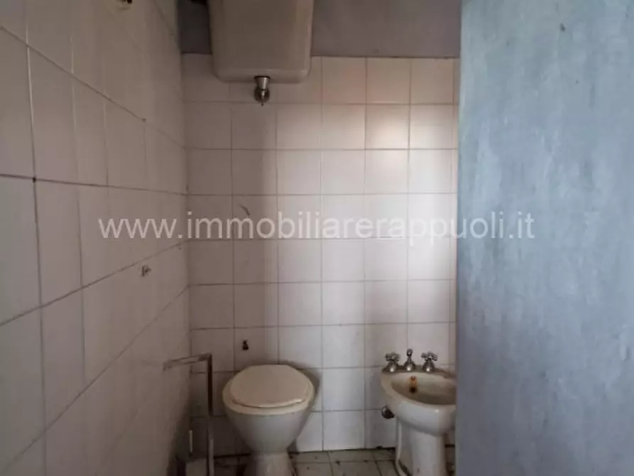 Immagine 3 di Rustico / casale in vendita  a Asciano