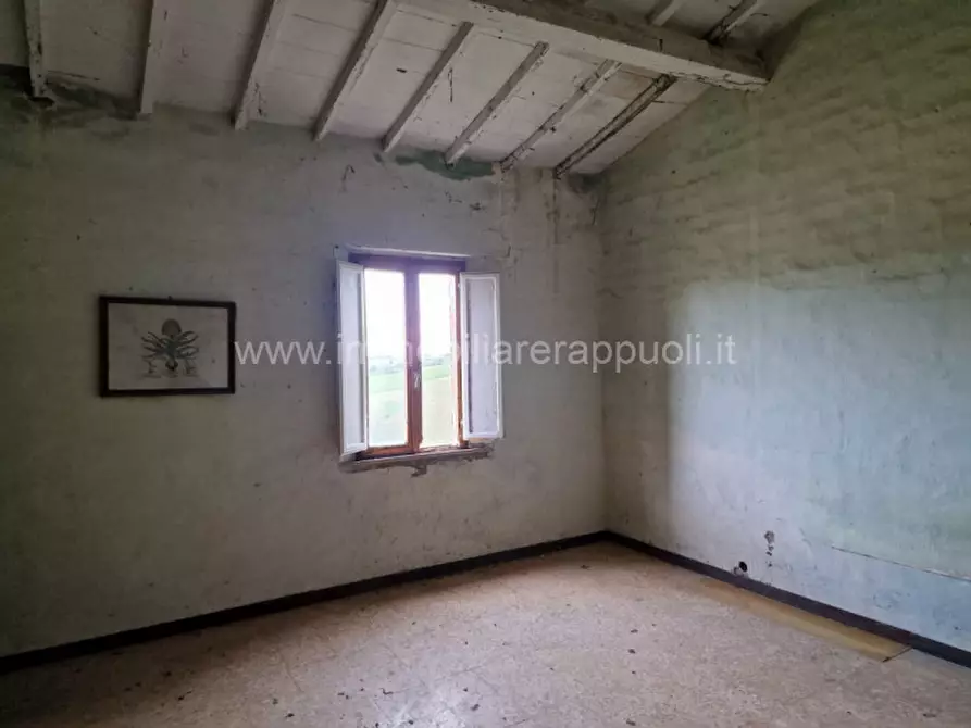 Immagine 8 di Rustico / casale in vendita  a Asciano