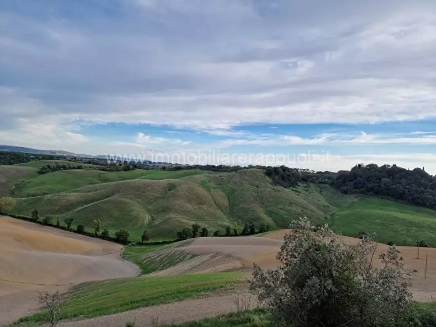 Immagine 10 di Rustico / casale in vendita  a Asciano