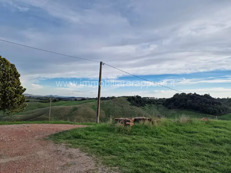 Immagine 15 di Rustico / casale in vendita  a Asciano