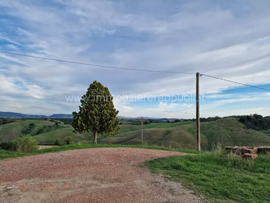 Immagine 24 di Rustico / casale in vendita  a Asciano