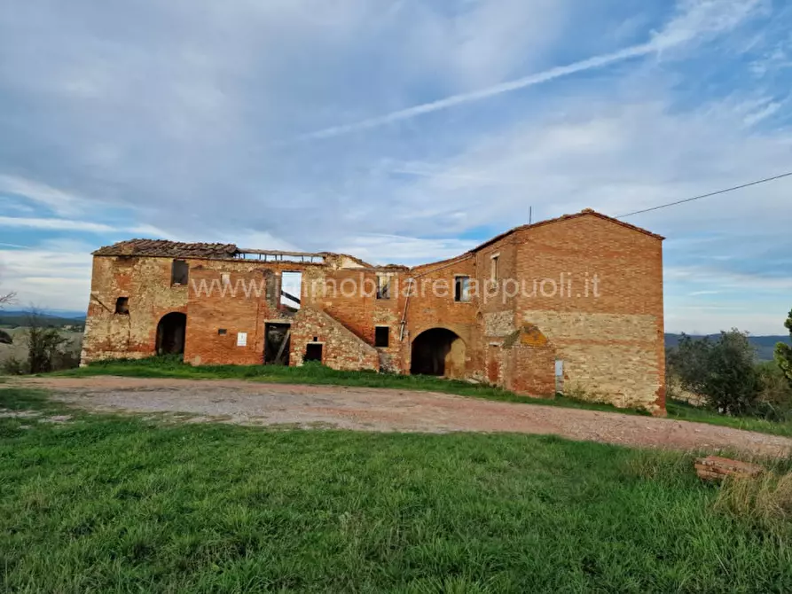 Immagine 25 di Rustico / casale in vendita  a Asciano