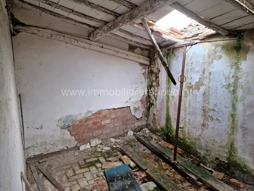 Immagine 26 di Rustico / casale in vendita  a Asciano