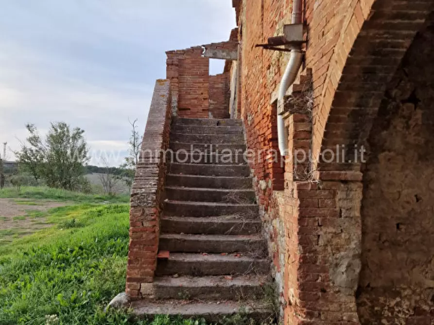 Immagine 27 di Rustico / casale in vendita  a Asciano