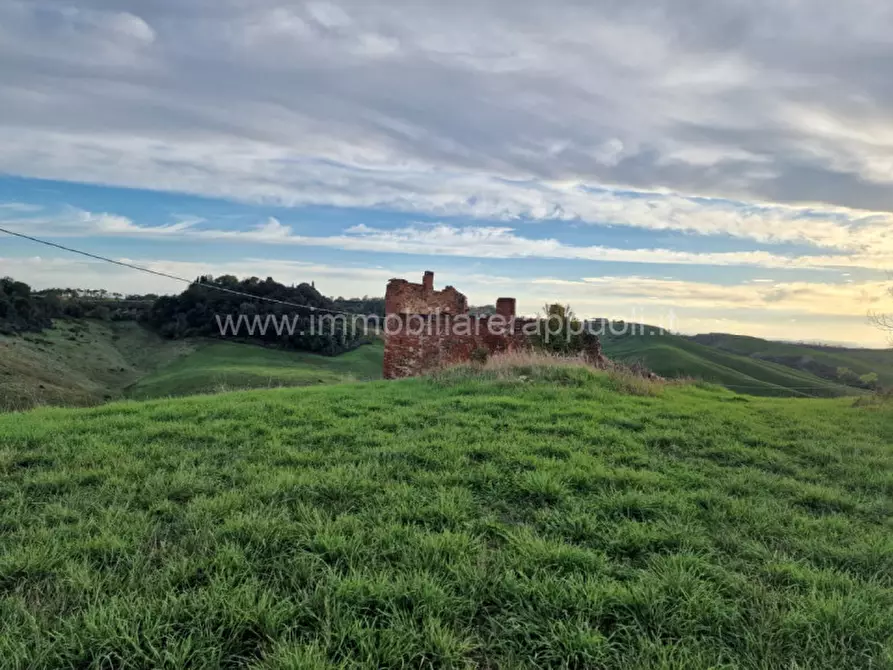 Immagine 29 di Rustico / casale in vendita  a Asciano