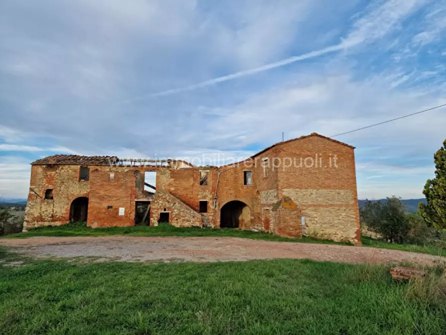 Immagine 32 di Rustico / casale in vendita  a Asciano