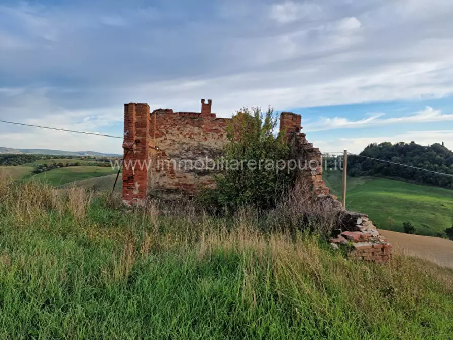 Immagine 35 di Rustico / casale in vendita  a Asciano