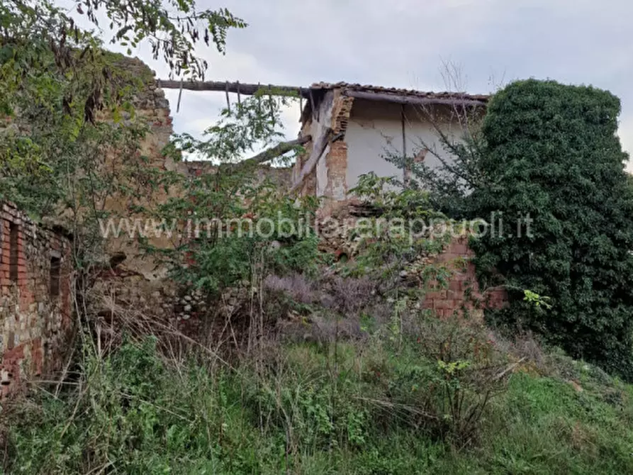 Immagine 36 di Rustico / casale in vendita  a Asciano