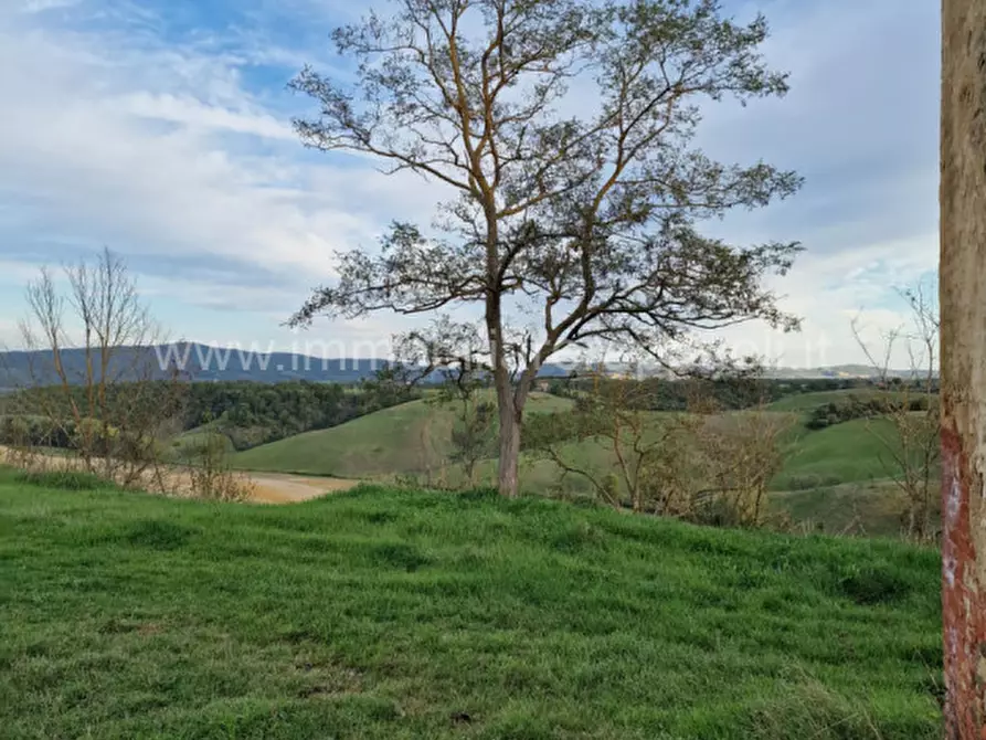 Immagine 37 di Rustico / casale in vendita  a Asciano