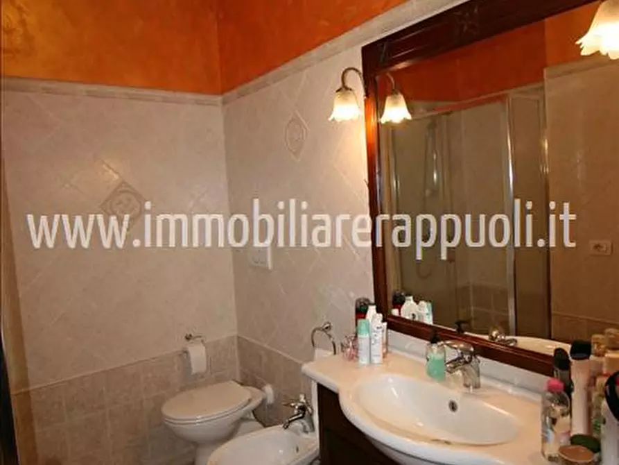 Immagine 8 di Casa indipendente in vendita  a Trequanda