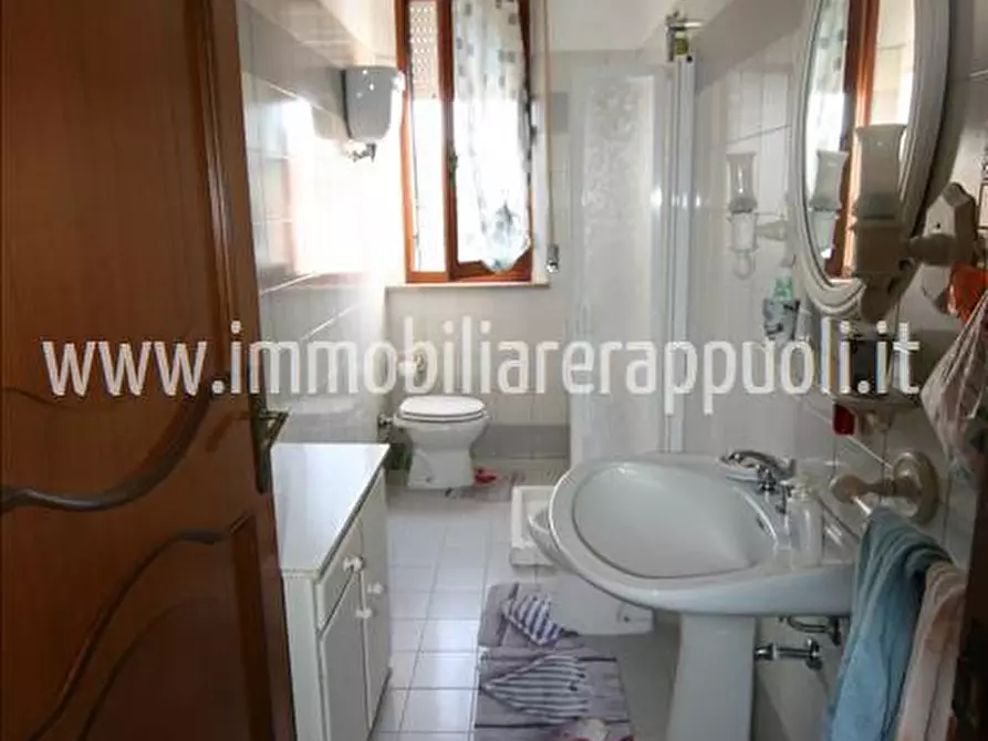 Immagine 5 di Appartamento in vendita  a Torrita Di Siena