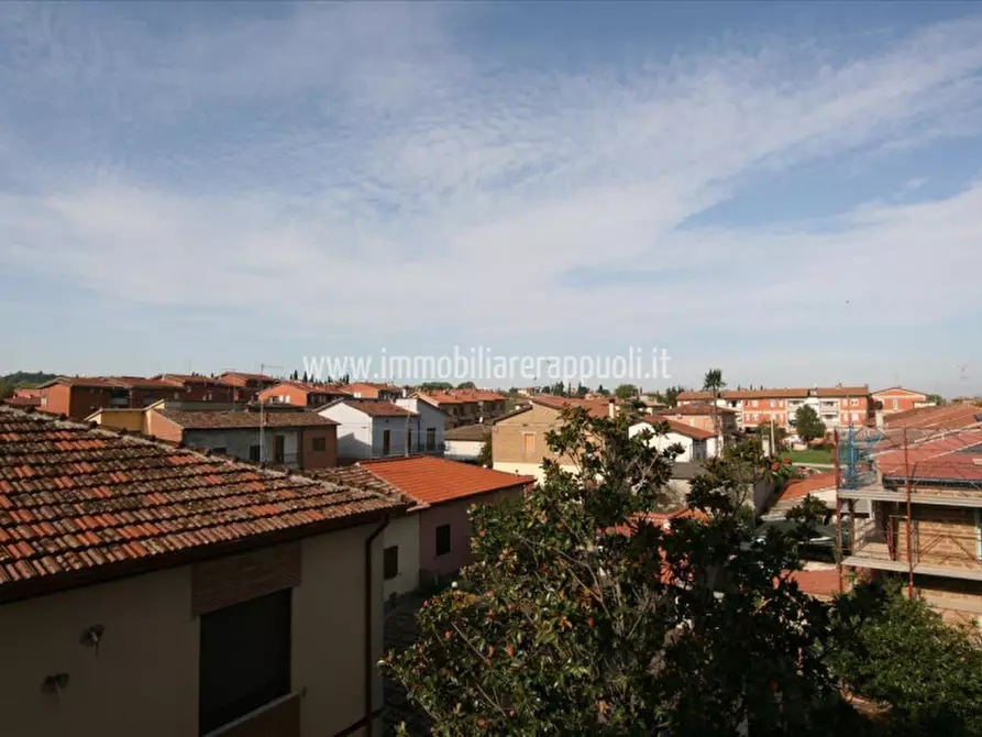 Immagine 8 di Appartamento in vendita  a Torrita Di Siena
