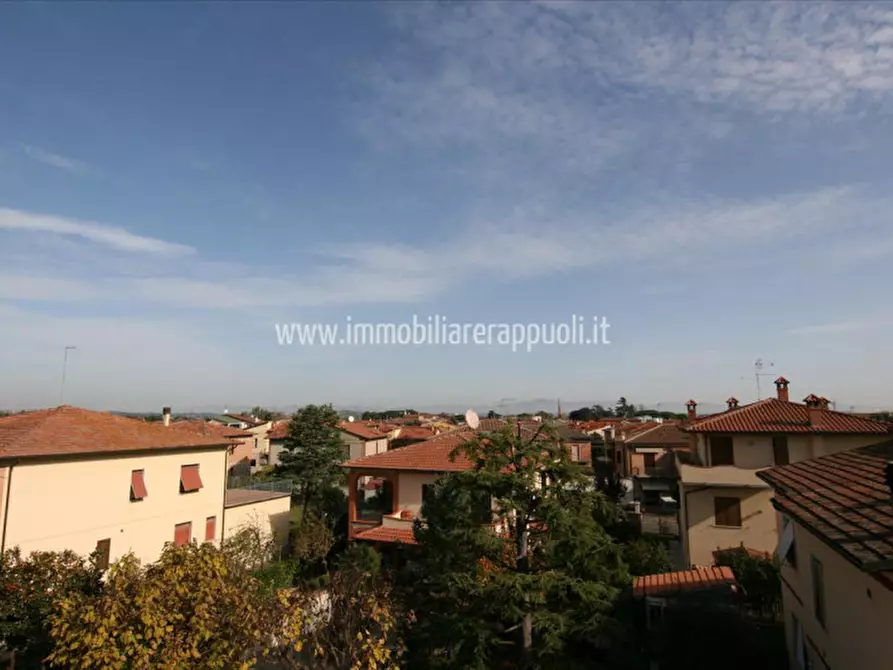 Immagine 16 di Appartamento in vendita  a Torrita Di Siena