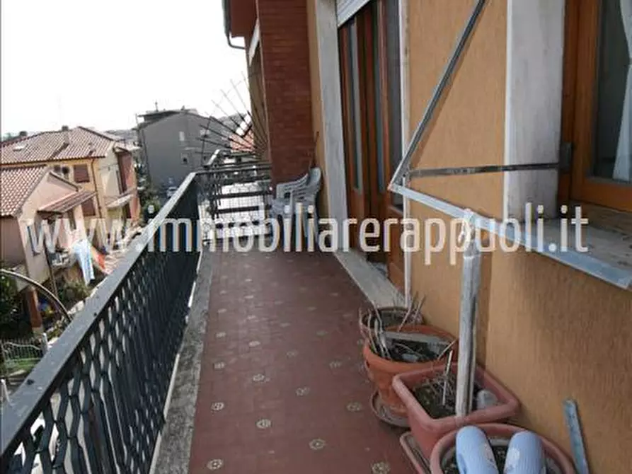 Immagine 17 di Appartamento in vendita  a Torrita Di Siena