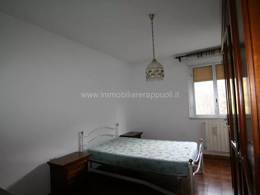 Immagine 6 di Appartamento in vendita  a Trequanda