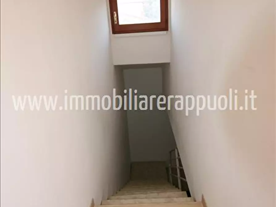 Immagine 6 di Casa indipendente in vendita  a Torrita Di Siena