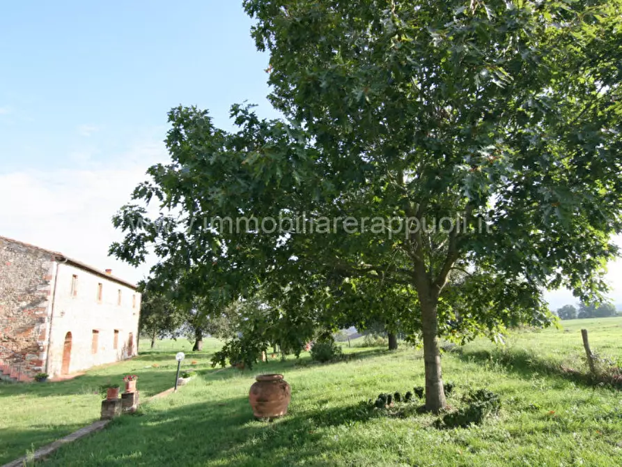 Immagine 3 di Rustico / casale in vendita  a Asciano