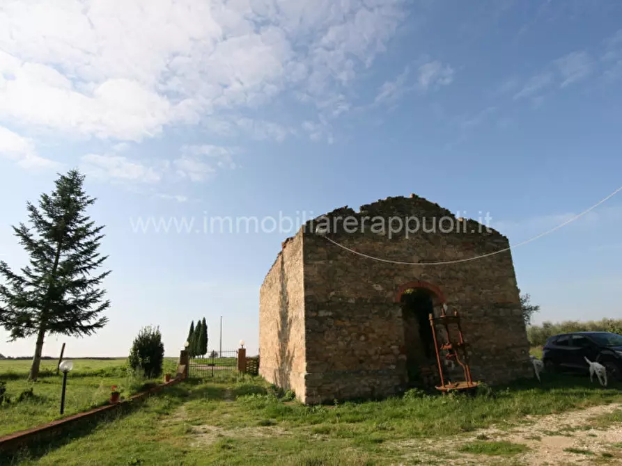 Immagine 4 di Rustico / casale in vendita  a Asciano