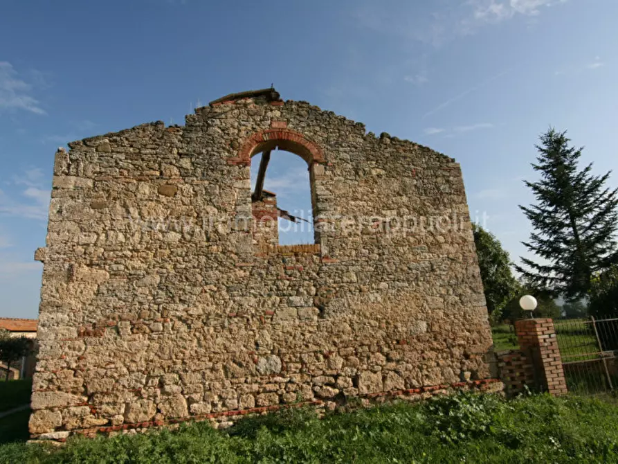 Immagine 5 di Rustico / casale in vendita  a Asciano