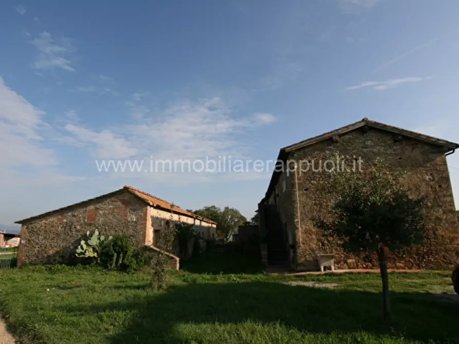 Immagine 7 di Rustico / casale in vendita  a Asciano
