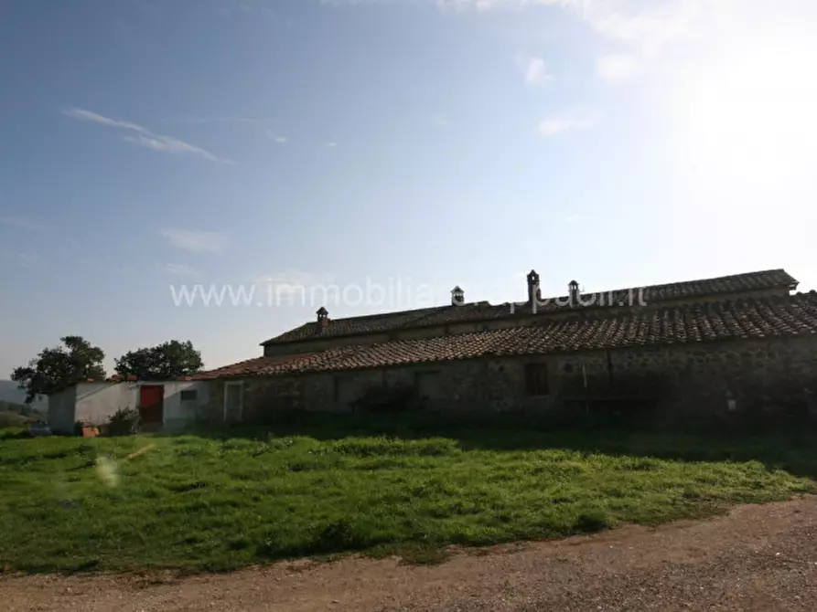 Immagine 8 di Rustico / casale in vendita  a Asciano