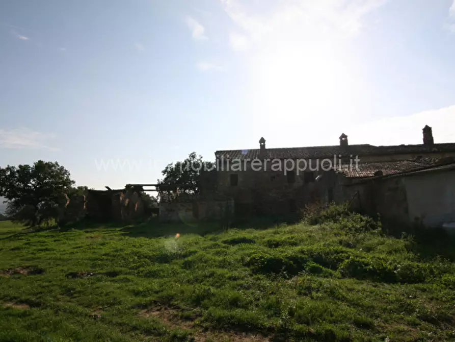 Immagine 9 di Rustico / casale in vendita  a Asciano